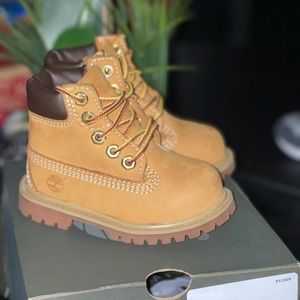 Timberlands Wheats-Toddler